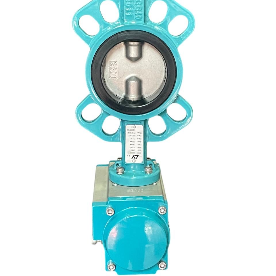 WhatsApp Image 2025-04-24 at 10.17.46 (1)